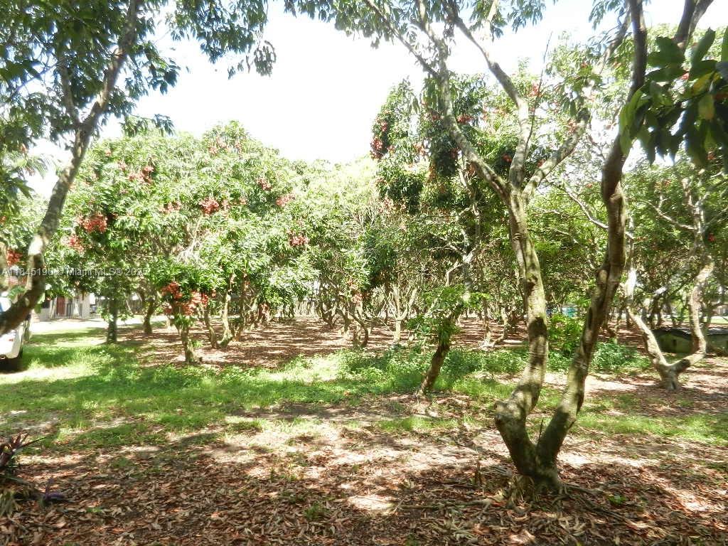 Property Photo 65