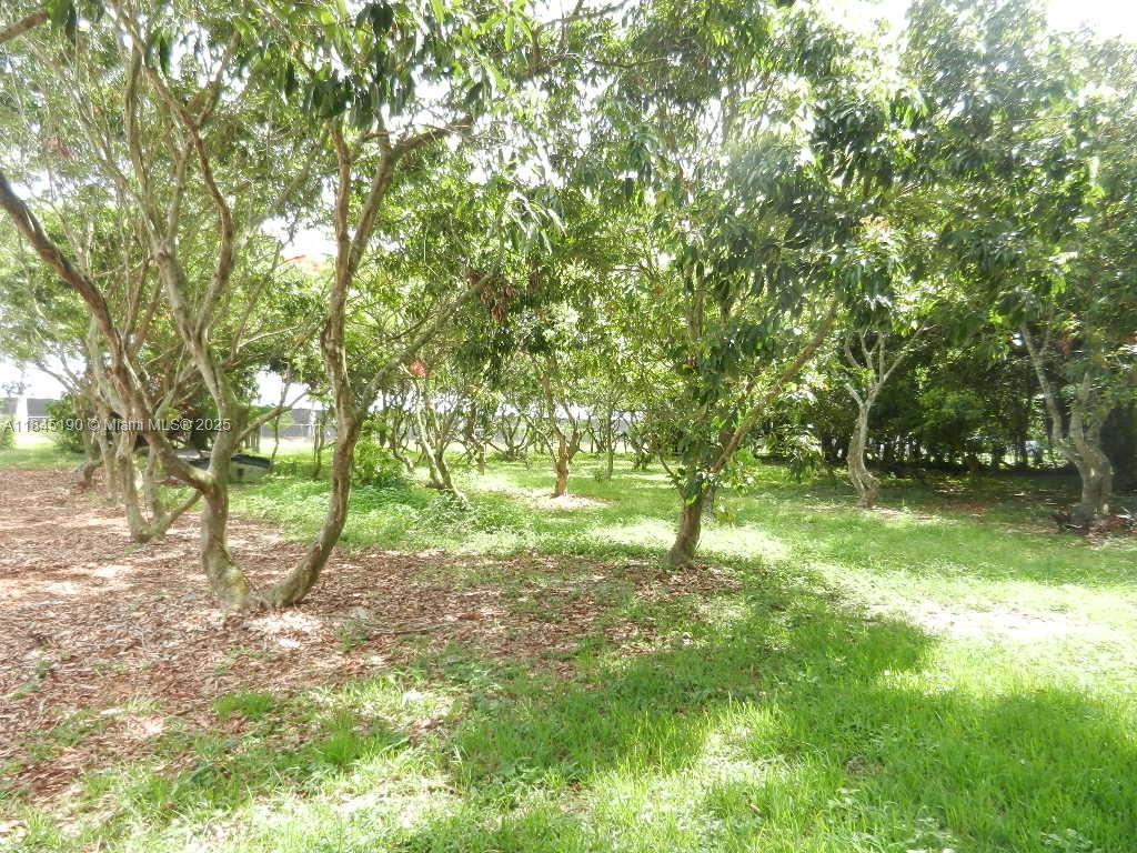 Property Photo 68