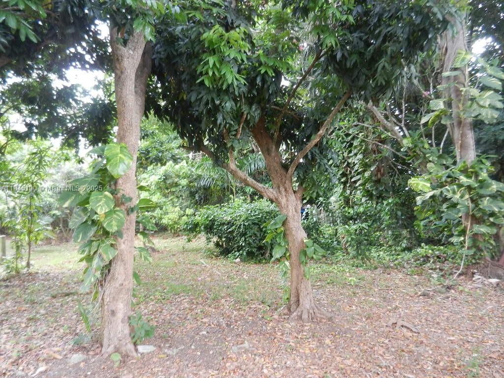 Property Photo 69