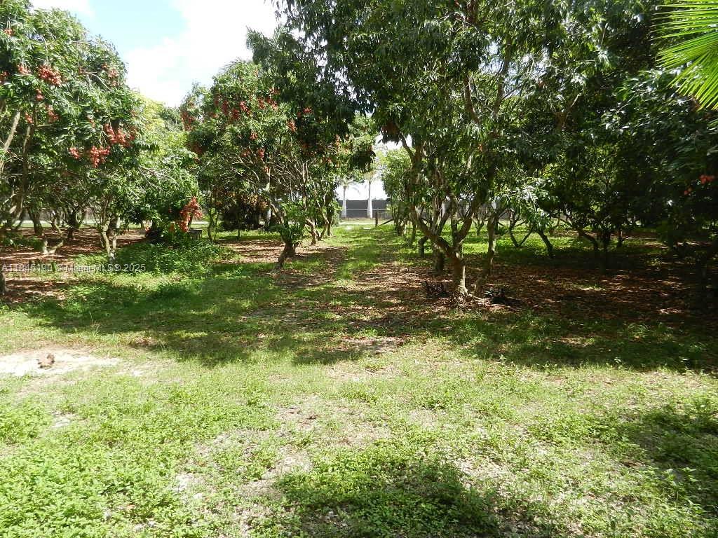 Property Photo 71