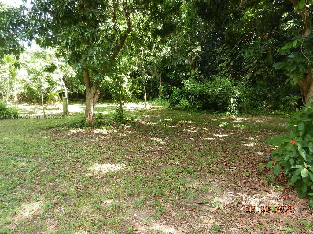 Property Photo 73