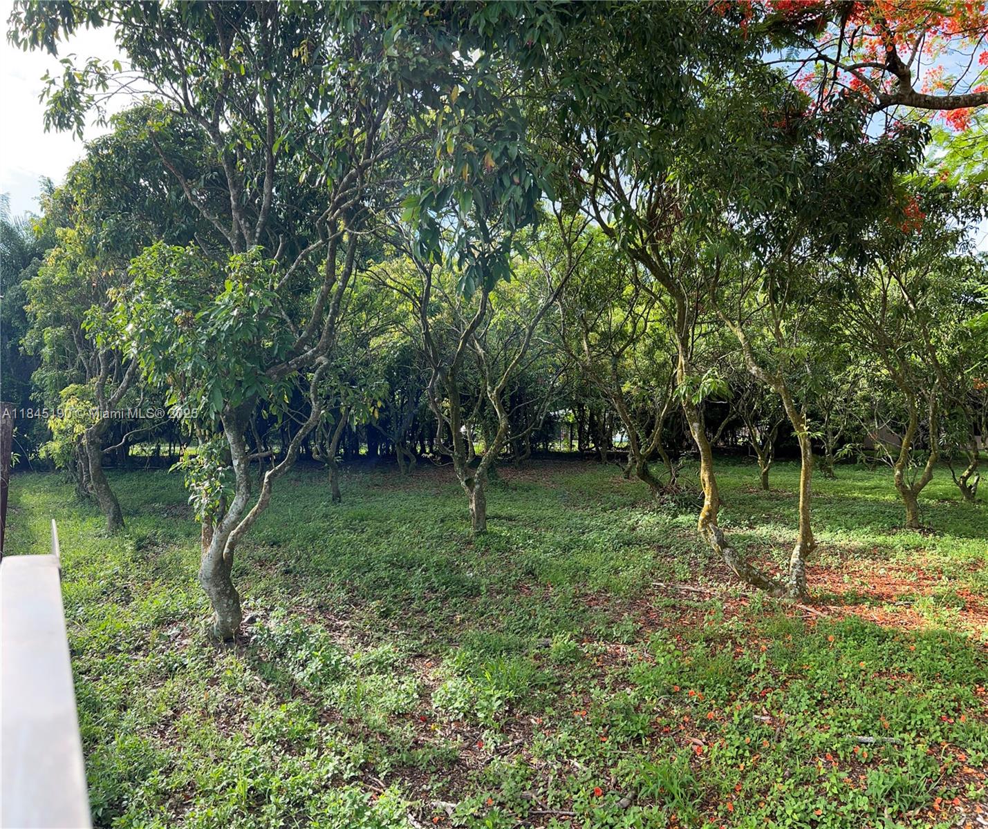 Property Photo 74