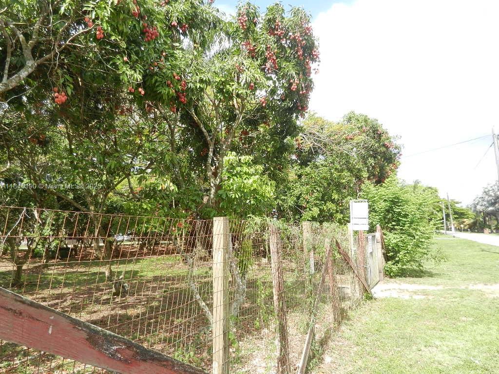 Property Photo 77