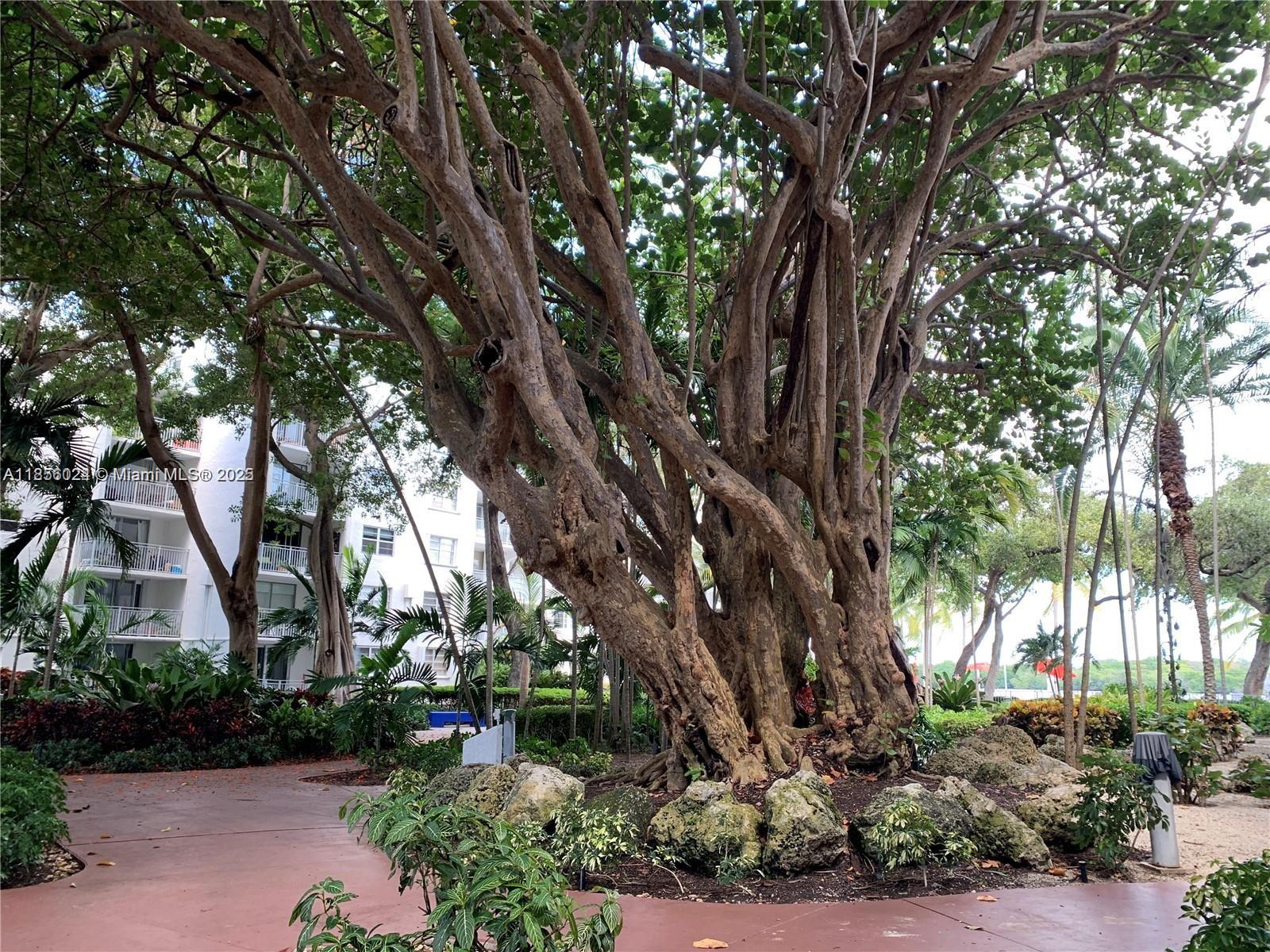 650 Ne 64th St G607 Property Photo 28