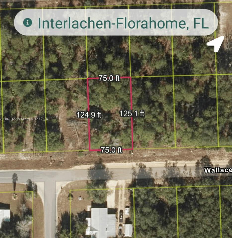 105 Wallace St Property Photo 3