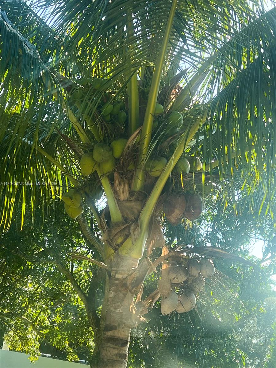 36520 Sw 214th Ave Property Photo 67