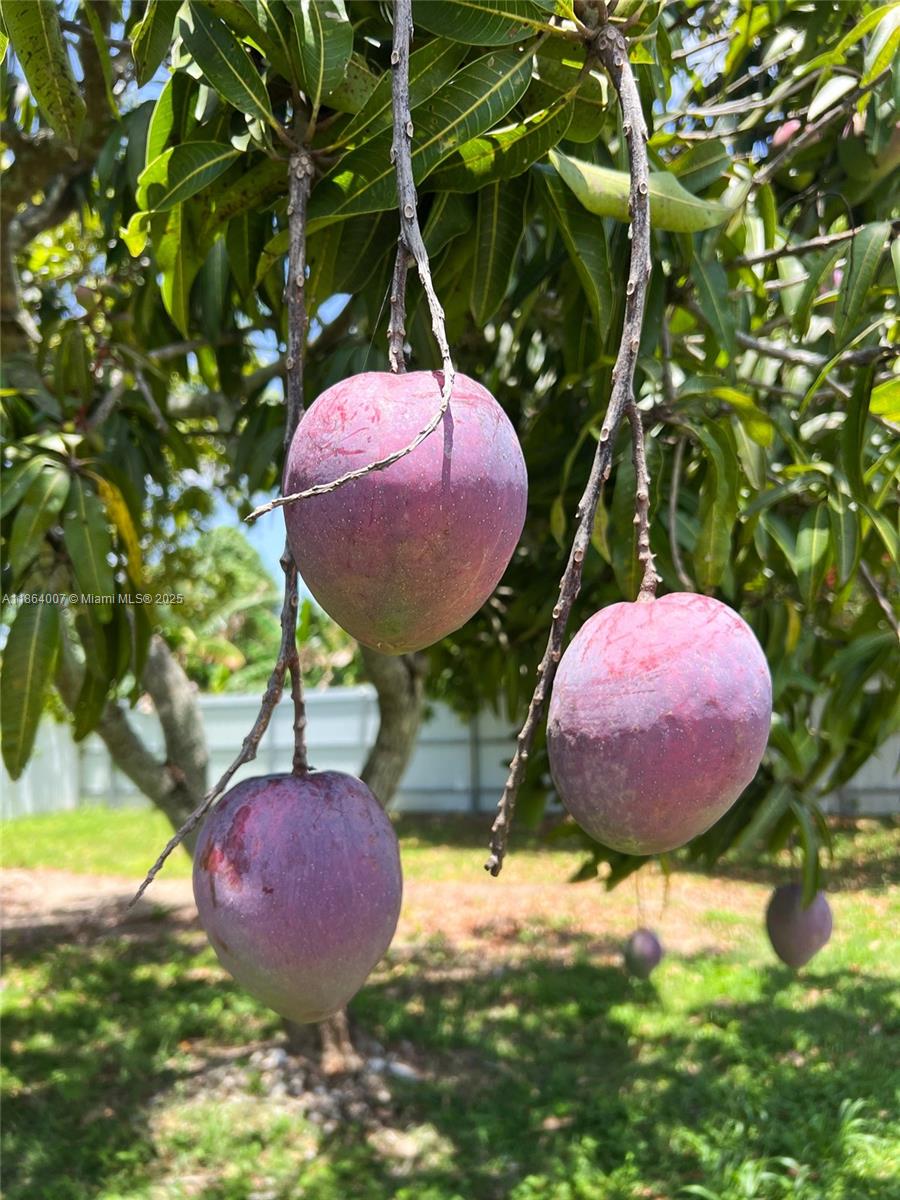 36520 Sw 214th Ave Property Photo 69