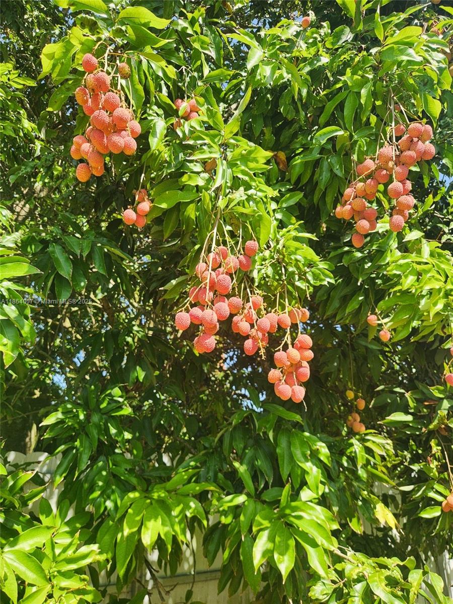 36520 Sw 214th Ave Property Photo 70