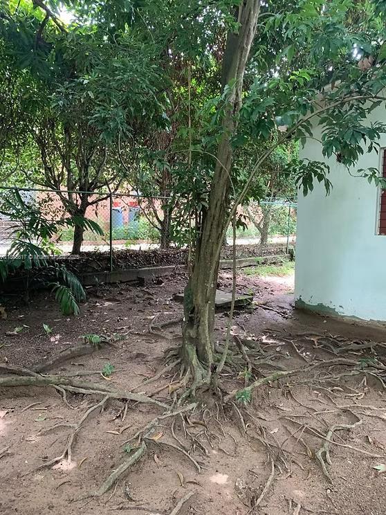 00 Stony Hill, Kingston Property Photo 8