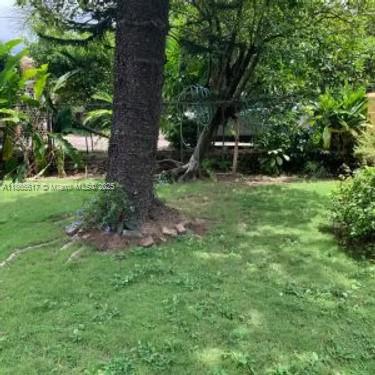 00 Stony Hill, Kingston Property Photo 11