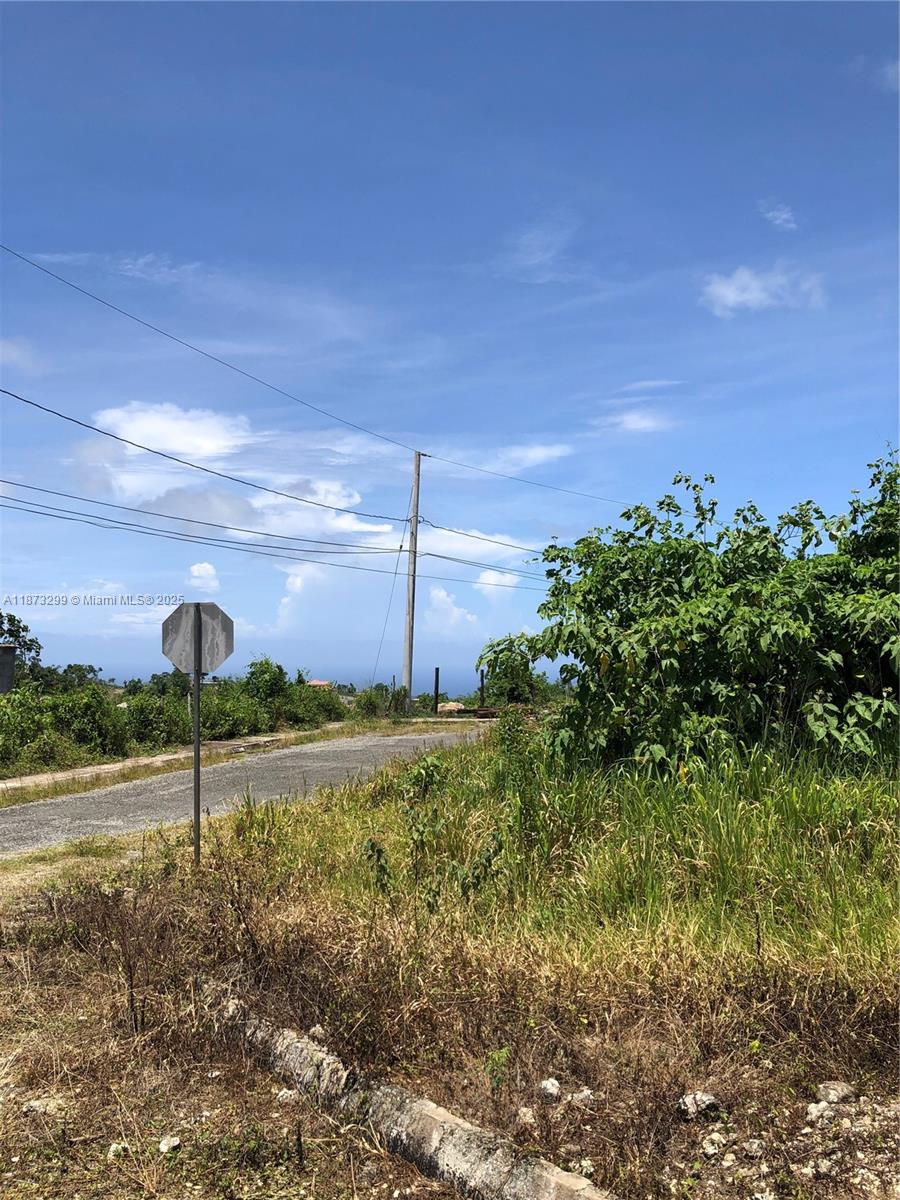 443 Minard Pen Property Photo 1