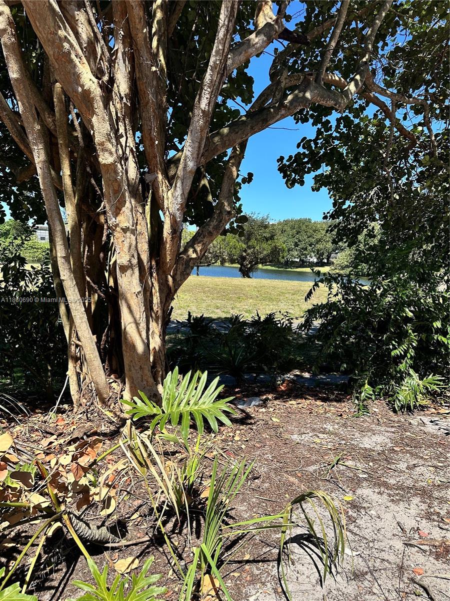 A11880690 Property Photo 31