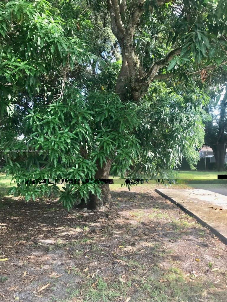 A11888593 Property Photo 5