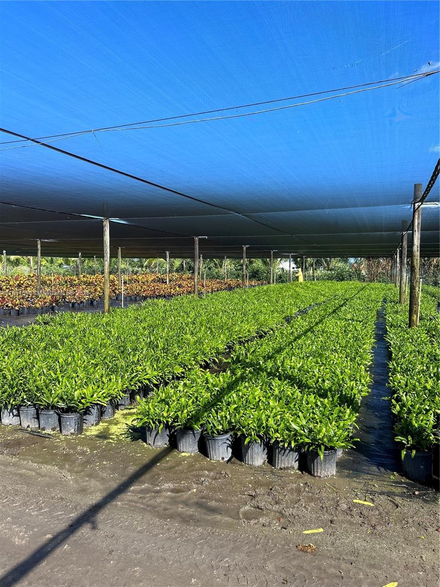 Krome Property Photo 8