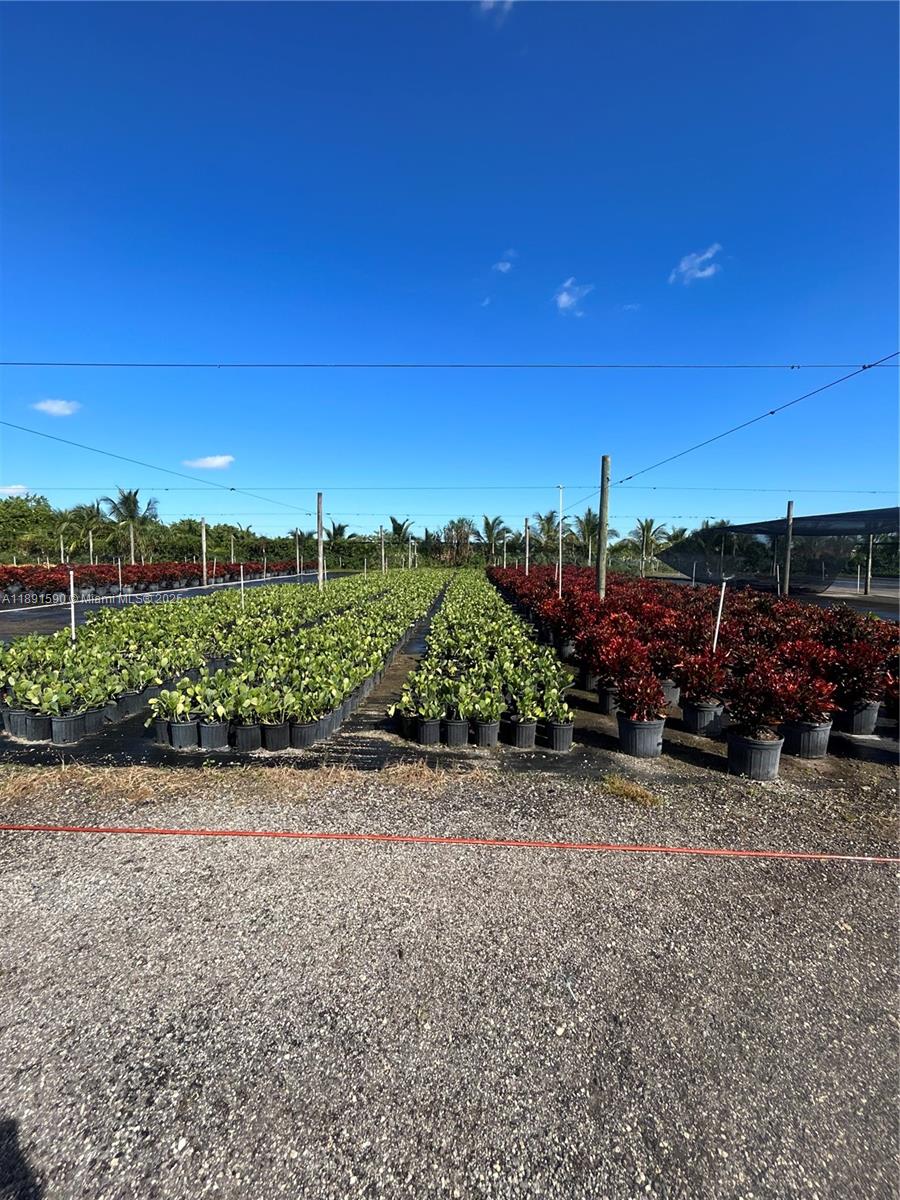 Krome Property Photo 15