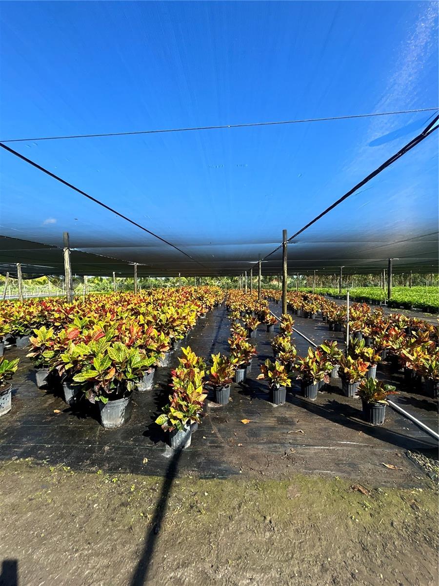 Krome Property Photo 17