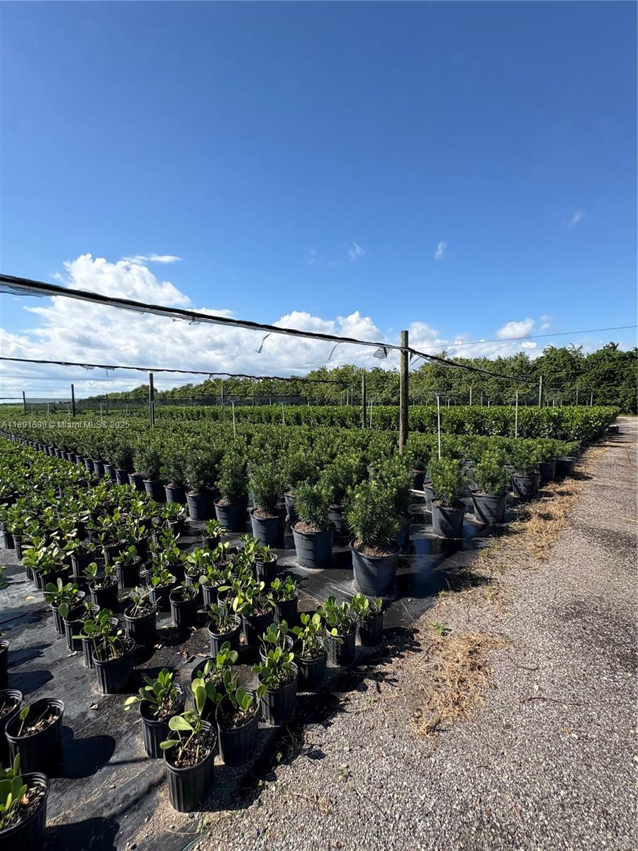 Krome Property Photo 21