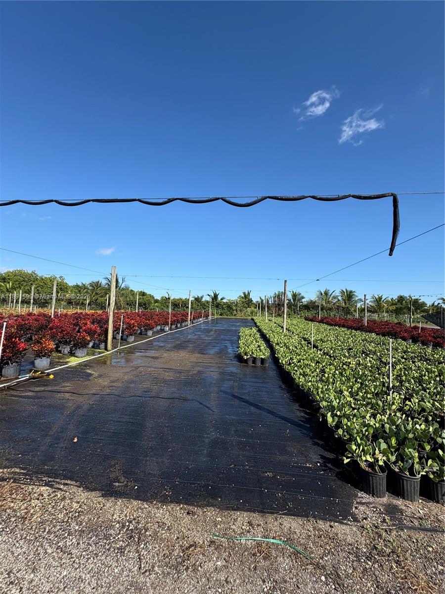 Krome Property Photo 22
