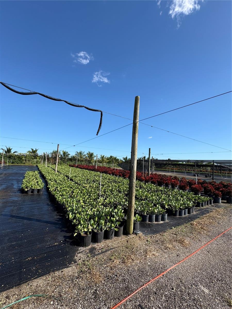Krome Property Photo 23