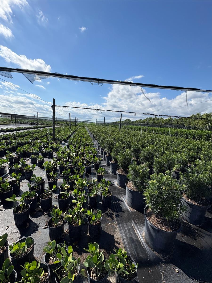 Krome Property Photo 24