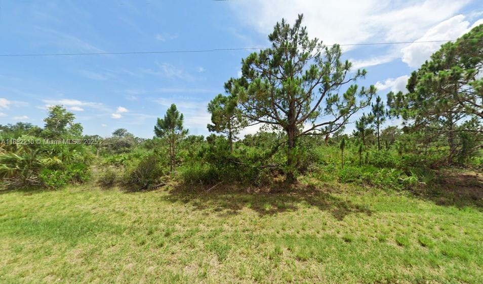 2363 Jacobs St Property Photo 1