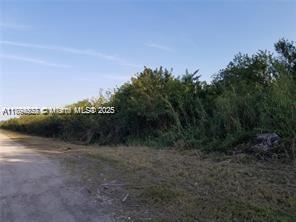 121 St Sw Property Photo 1