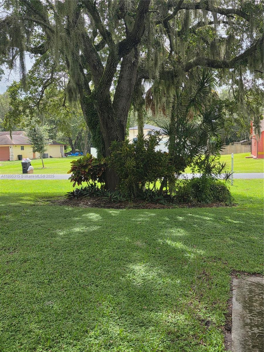 4802 Matanzas Ave Property Photo 24