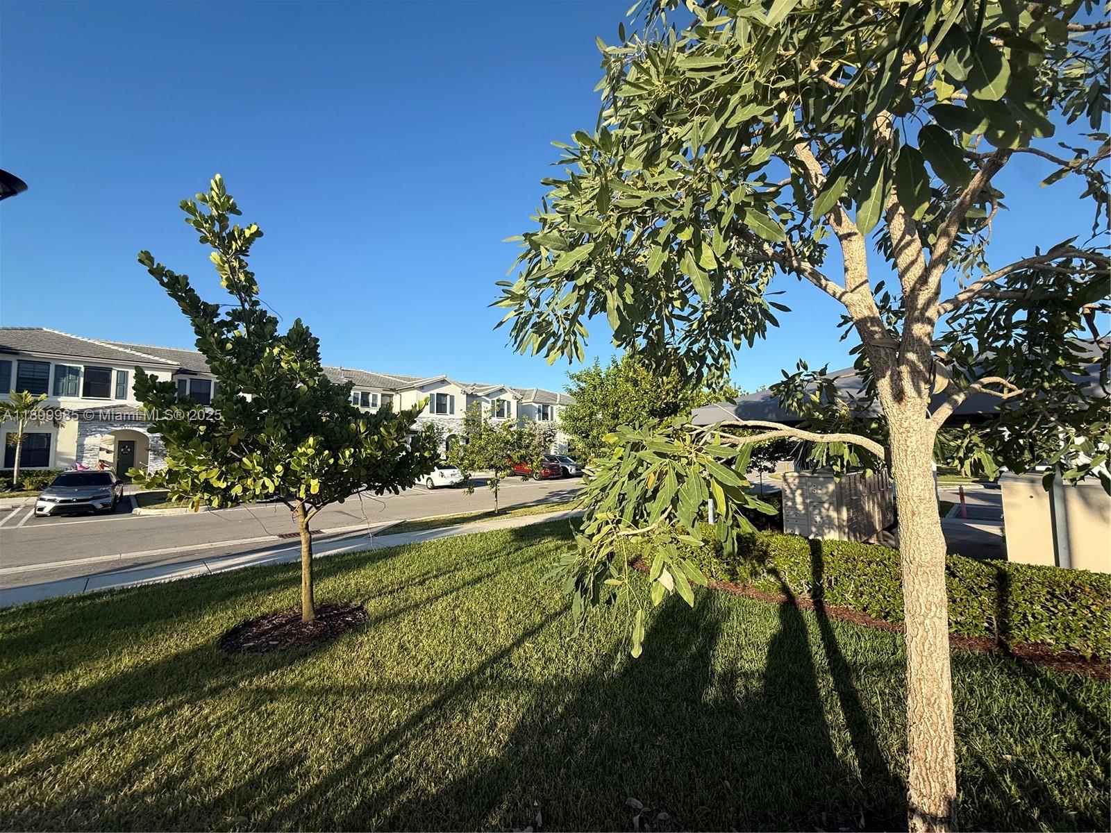13322 Sw 287th Ter Property Photo 8