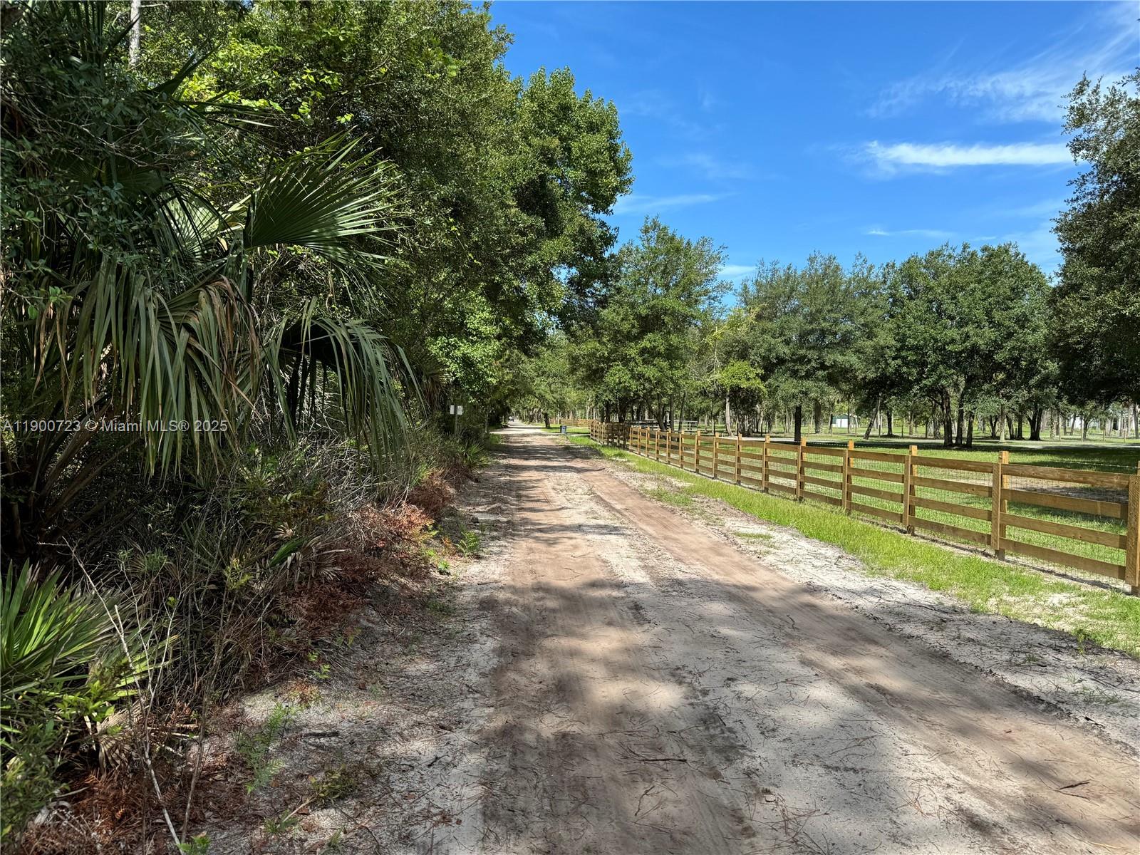 0 County Road 335 Property Photo 4