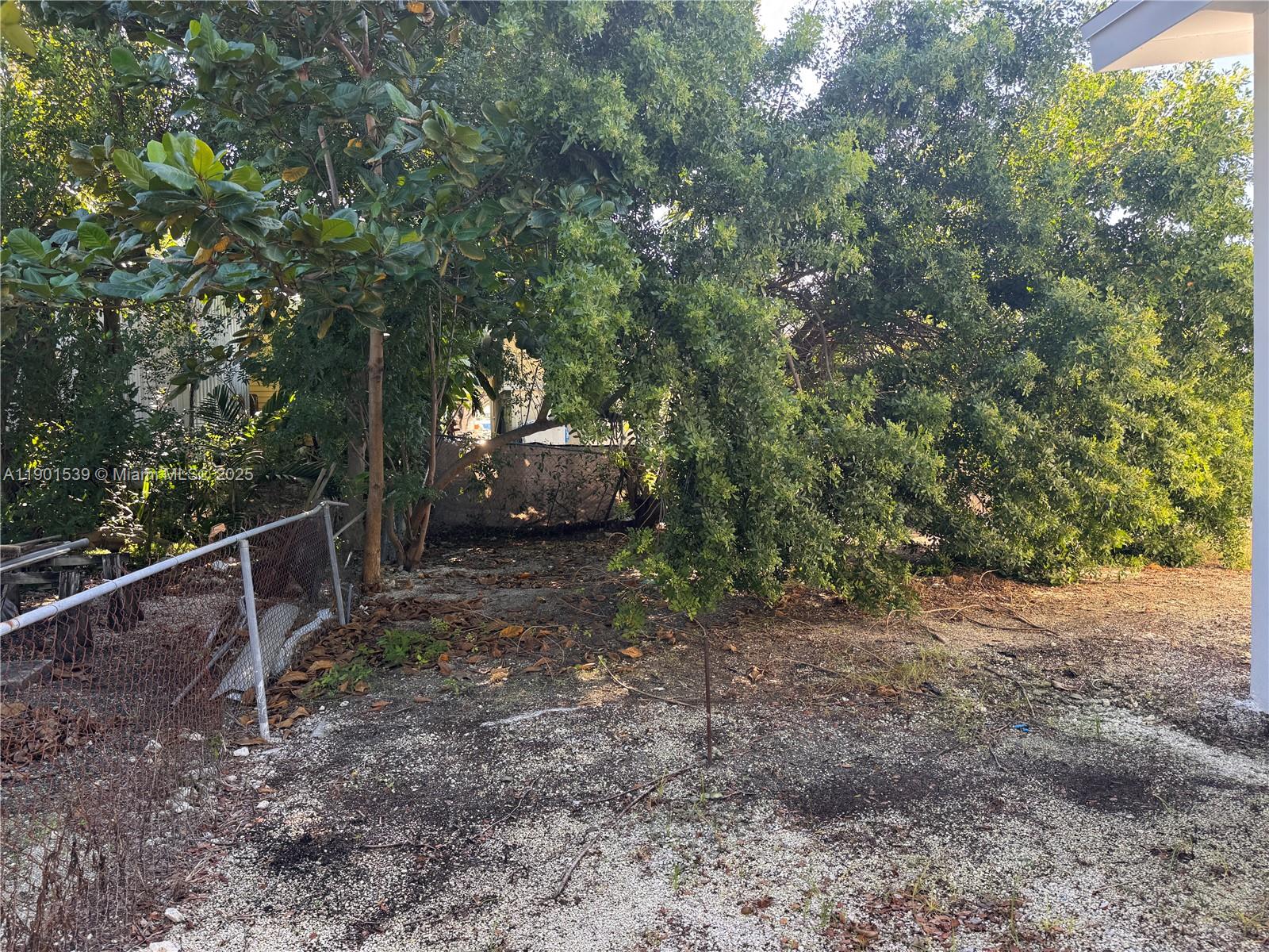 969 Plantation Rd Property Photo 21