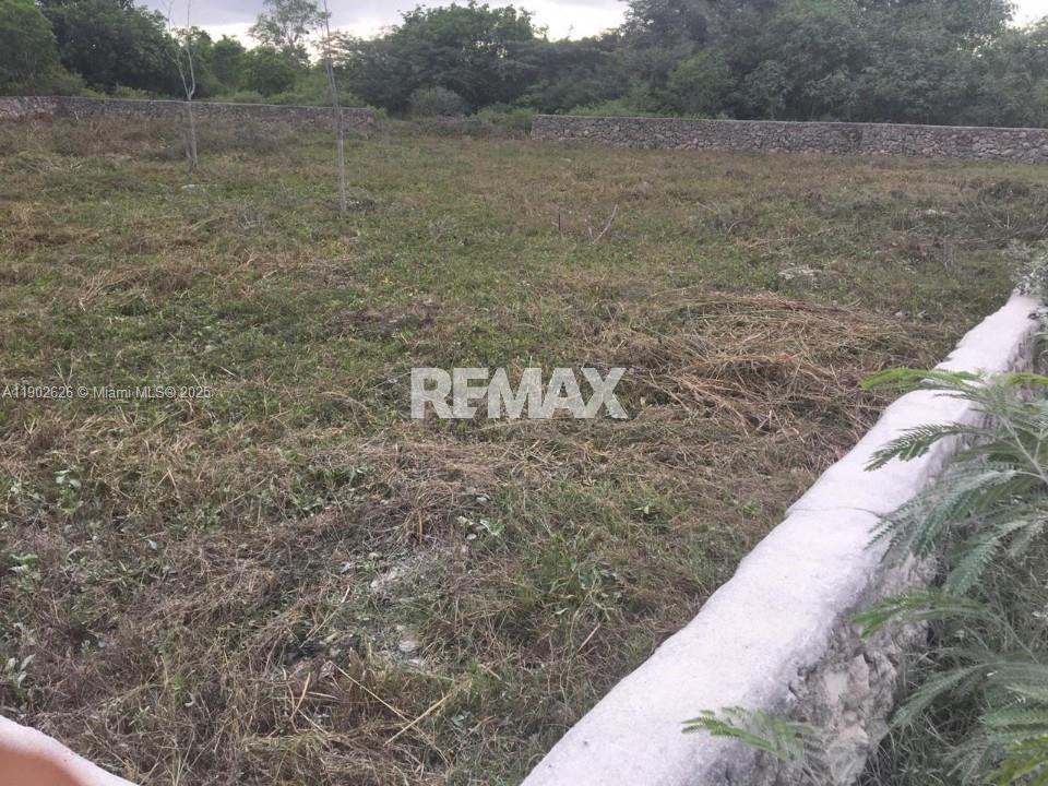 A11902626 Property Photo 1