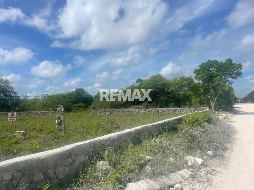 A11902640 Property Photo 4