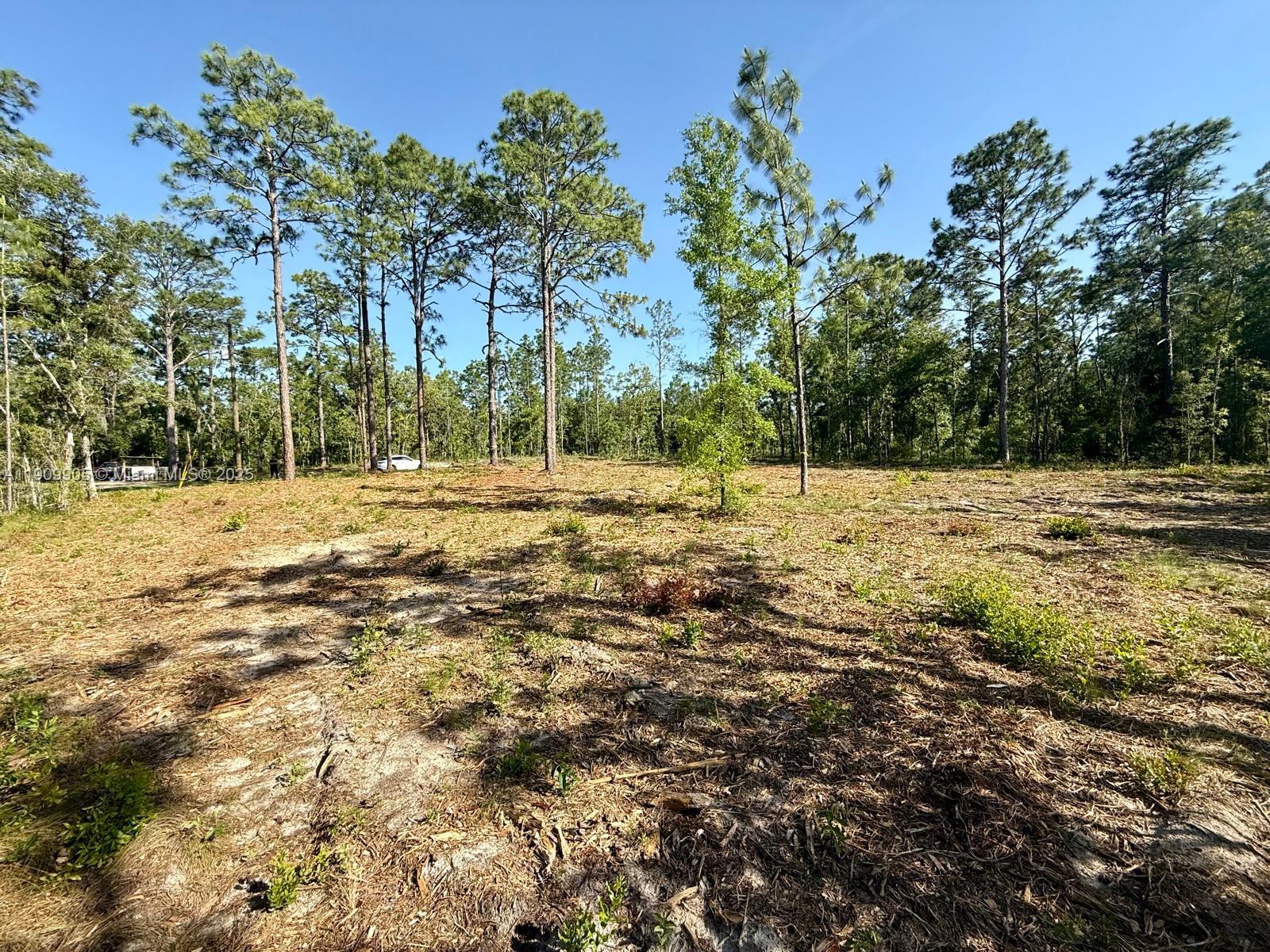 0 Nw 157th Ave Property Photo 1
