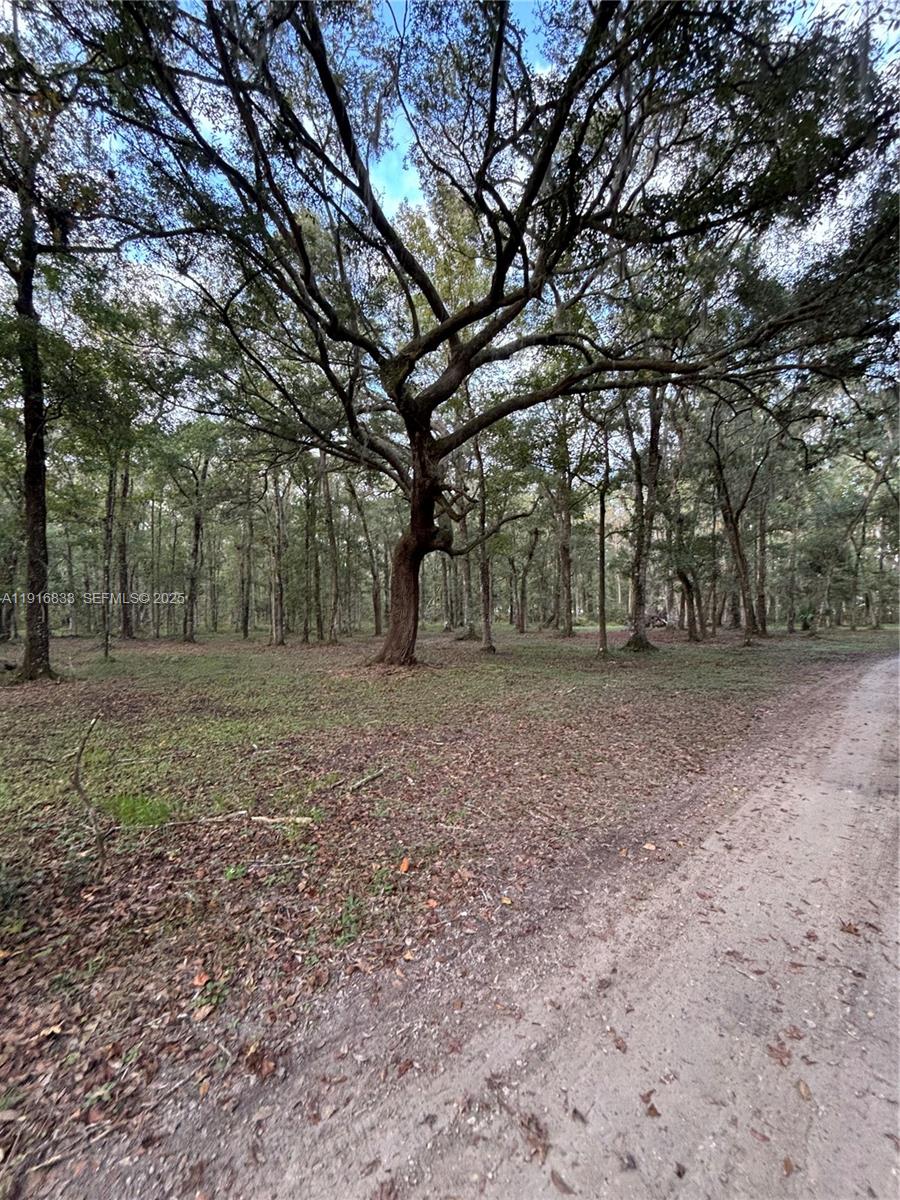 6169 County Road 209 S Property Photo 5
