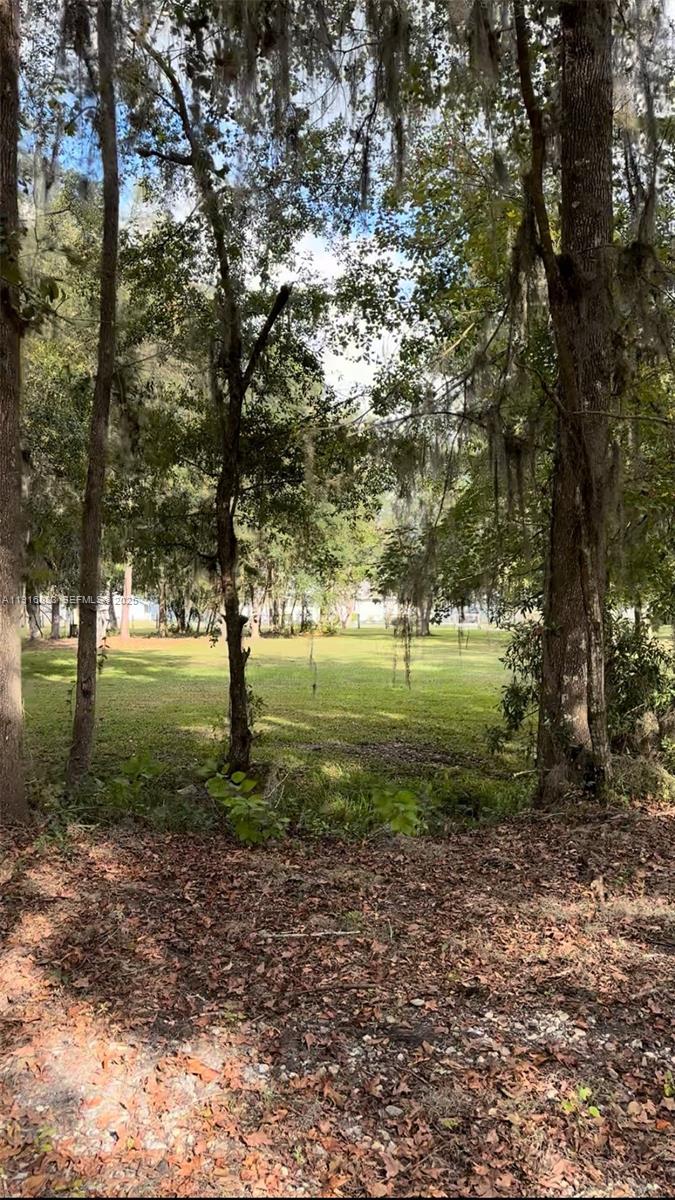 6169 County Road 209 S Property Photo 14