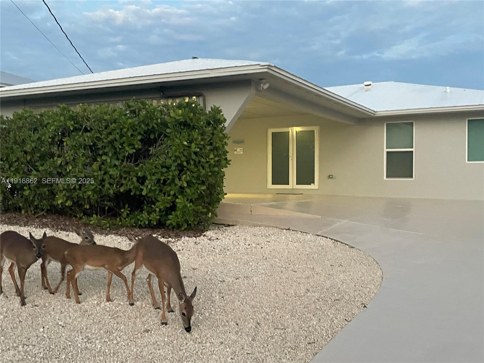 1733 Sunrise Dr Property Photo 68