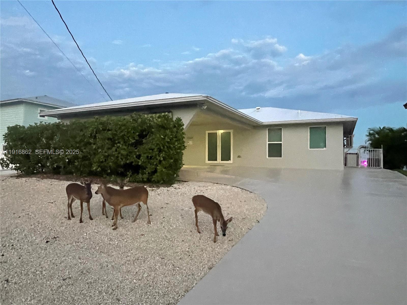 1733 Sunrise Dr Property Photo 69