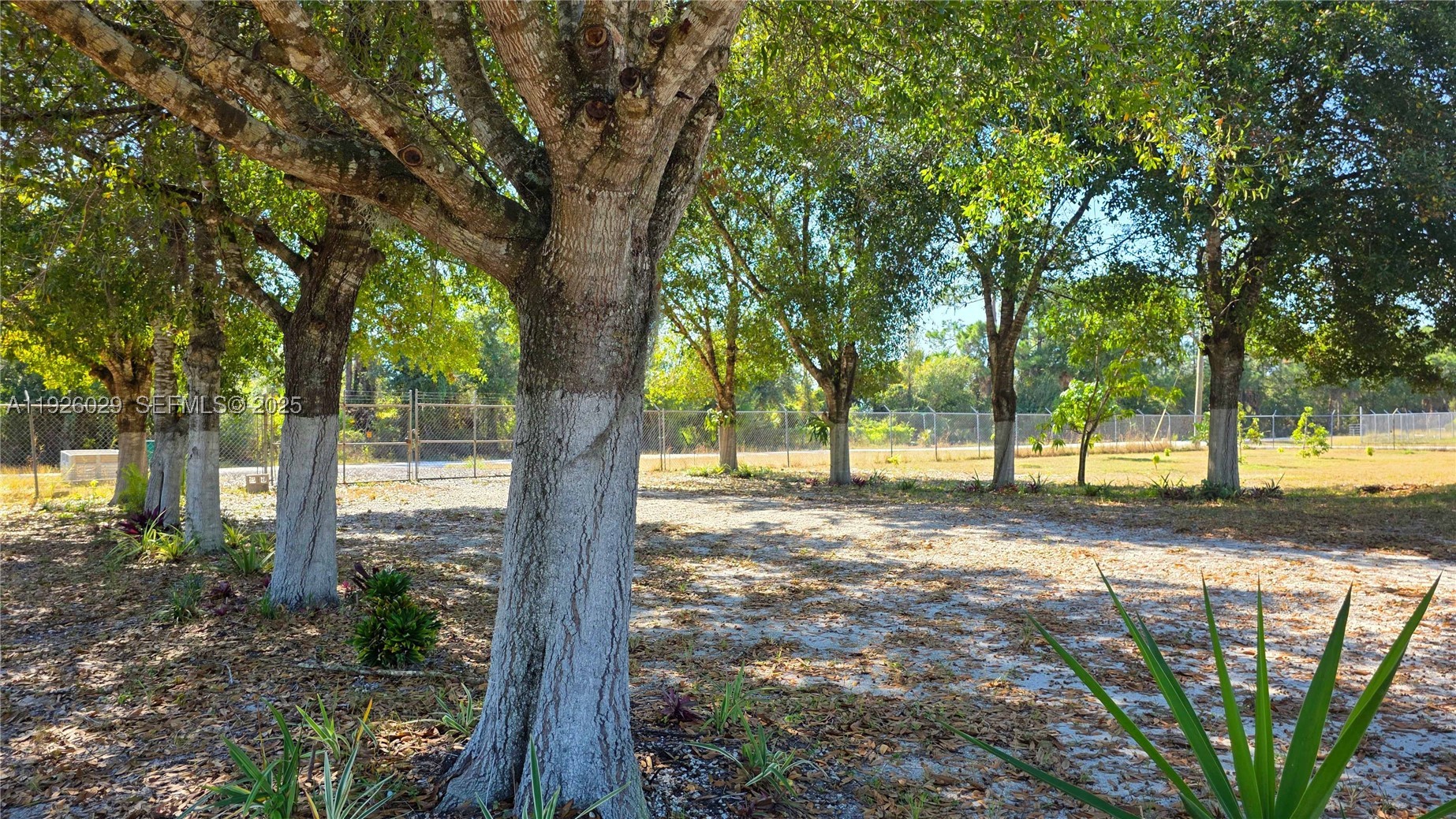 527 Perimeter Rd Property Photo 39