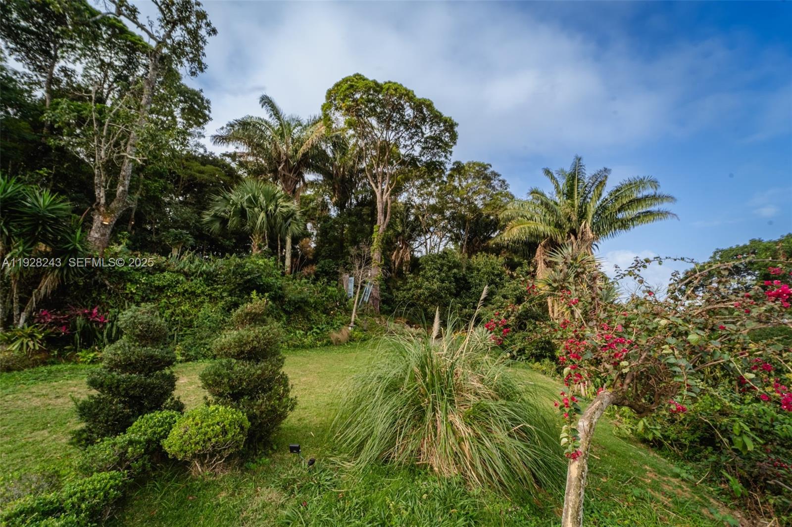240 Rua Joao Borges Property Photo 33