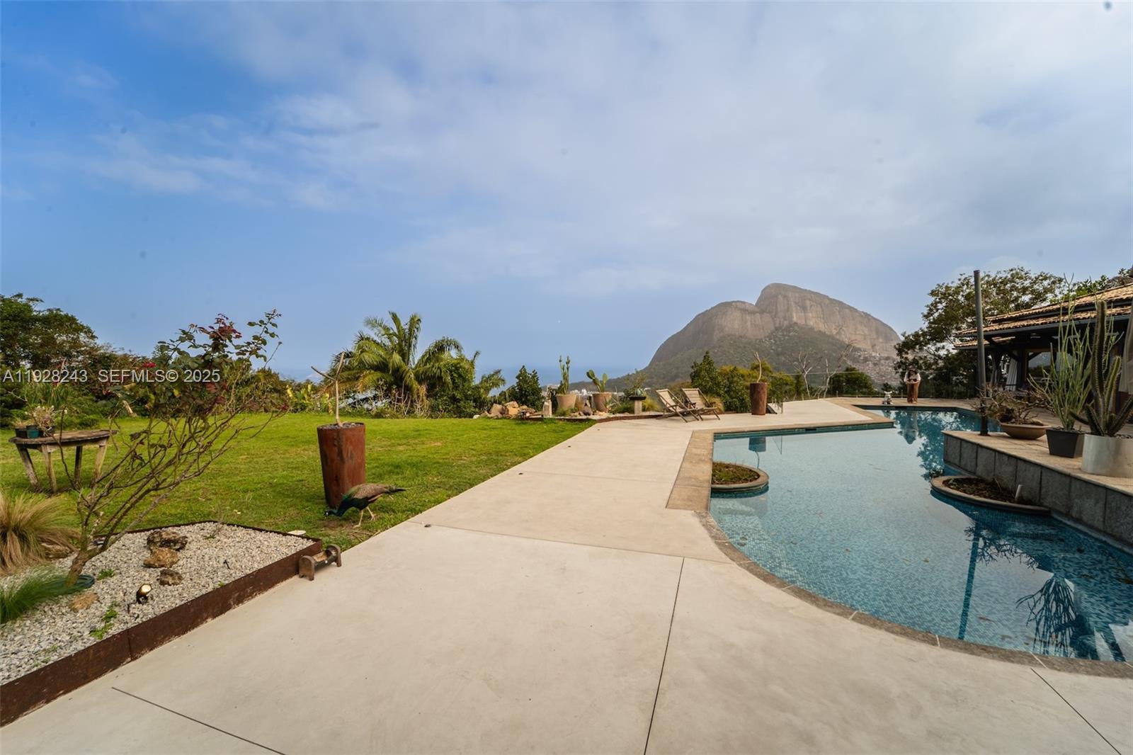 240 Rua Joao Borges Property Photo 39