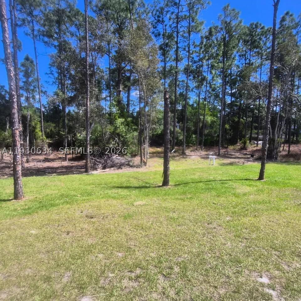 761 Kirkman Ave Property Photo 28