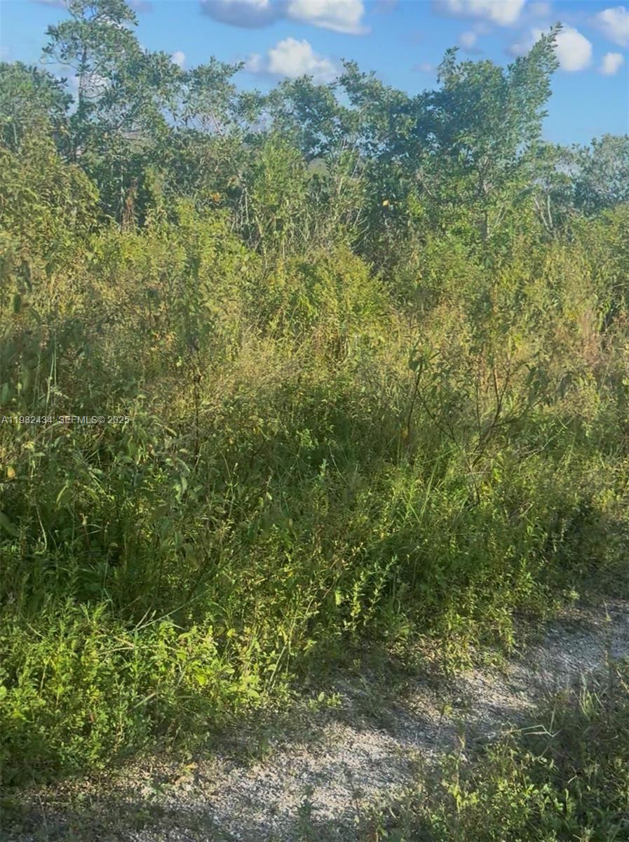 Unincorporated, Unincorporated, Property Photo 6