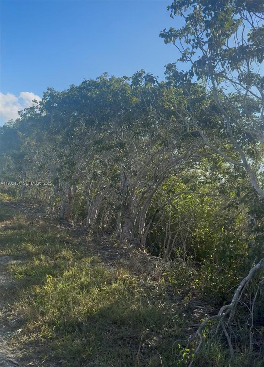 Unincorporated, Unincorporated, Property Photo 9