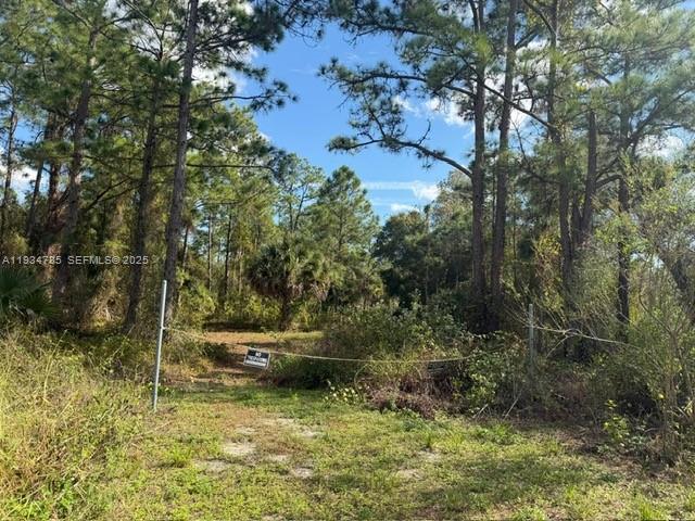 345 N Isora Property Photo 2