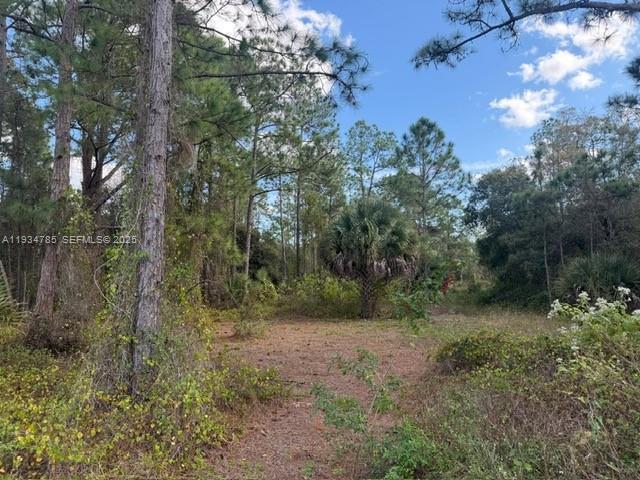 345 N Isora Property Photo 3