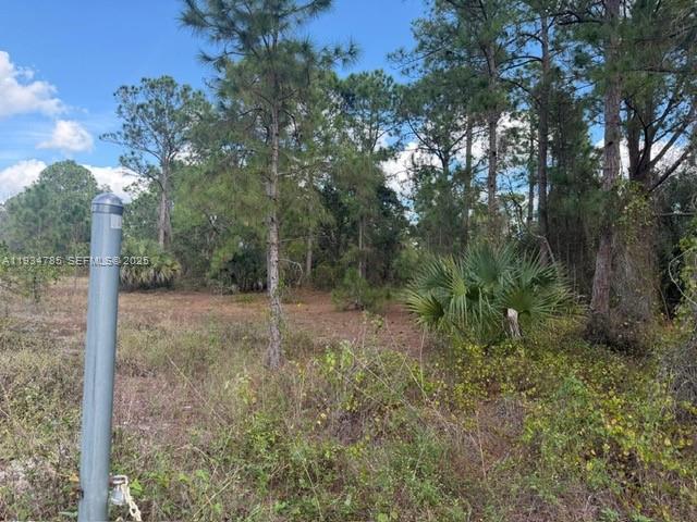 345 N Isora Property Photo 4