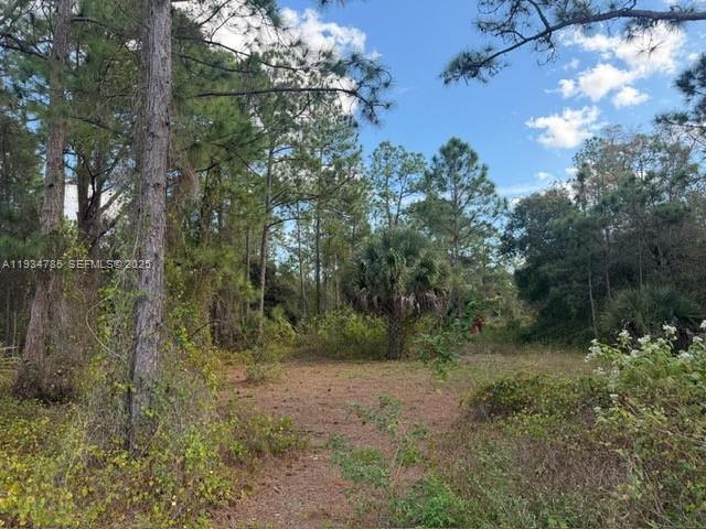 345 N Isora Property Photo 5