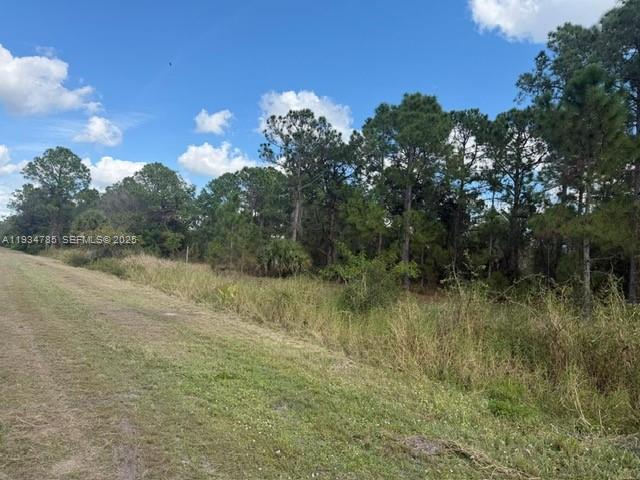 345 N Isora Property Photo 6