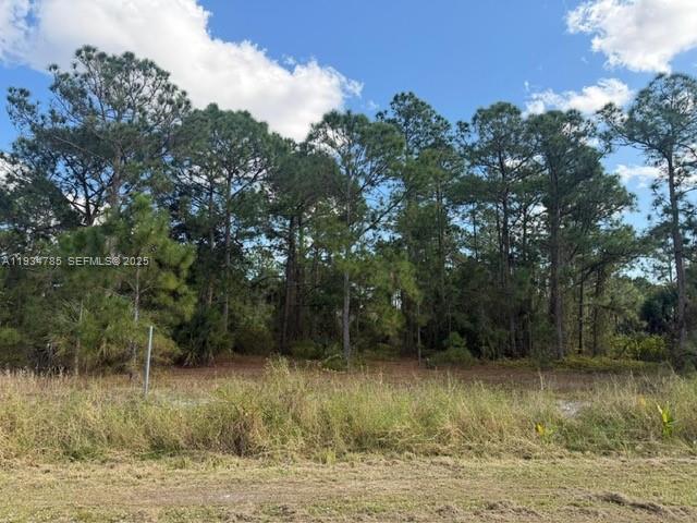 345 N Isora Property Photo 7
