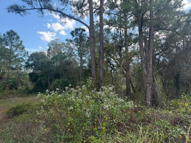 345 N Isora Property Photo 8